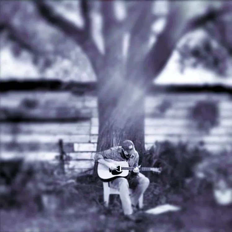 image of a man playing guitar sitting under a tree